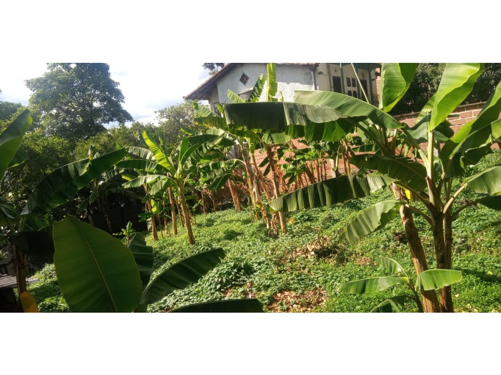 Lote en Venta Sector Loma Benedictinos Envigado — foto 3