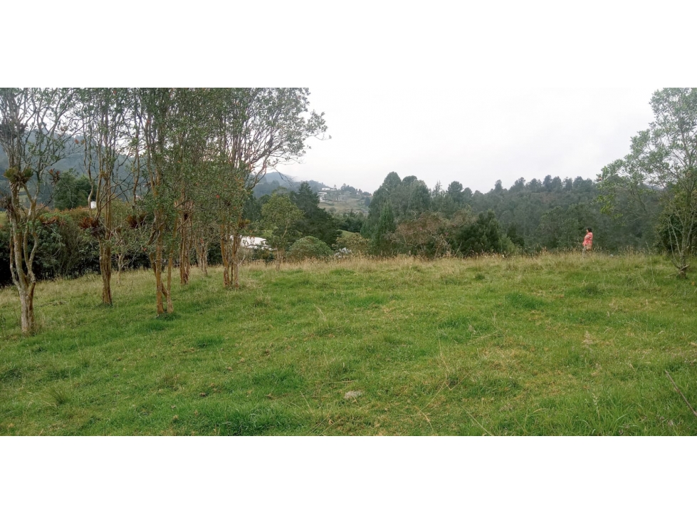 Lote en Venta en Alto de las Palmas Sector La Esperanza — foto 2