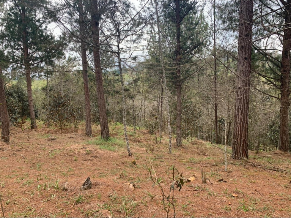Lote en Venta Sector Lejos del Nido en el Retiro — foto 2