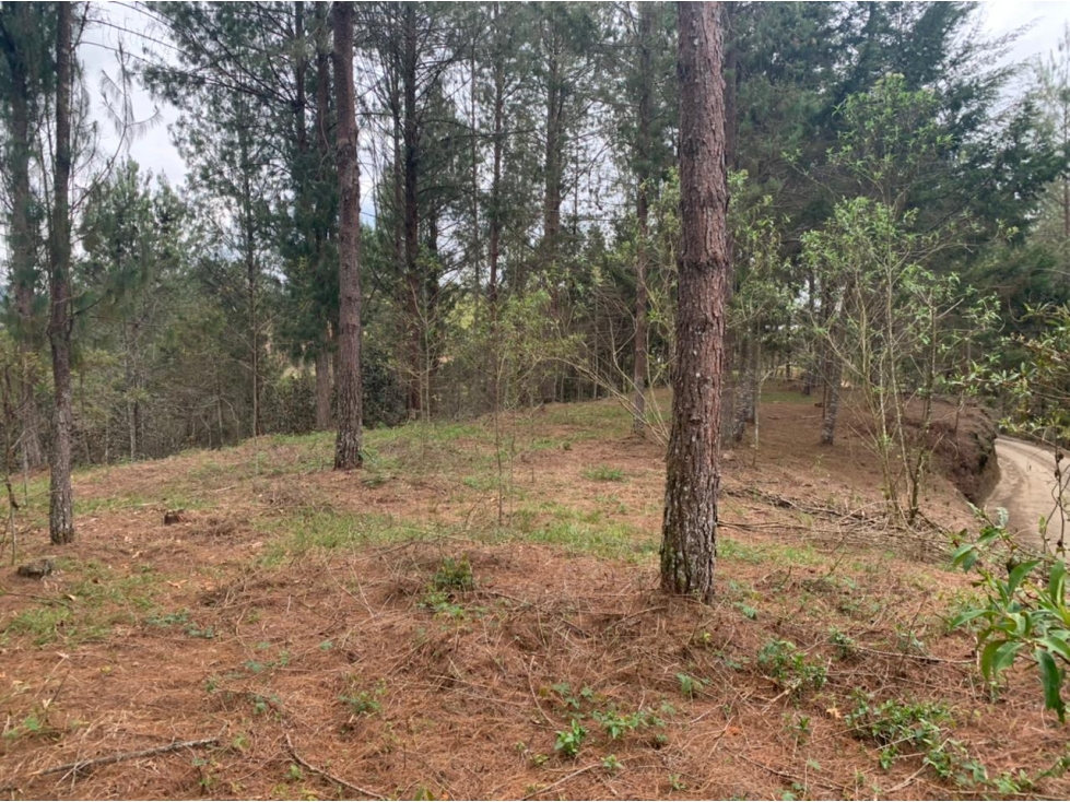 Lote en Venta en el Retiro, Sector Lejos del Nido — foto 3