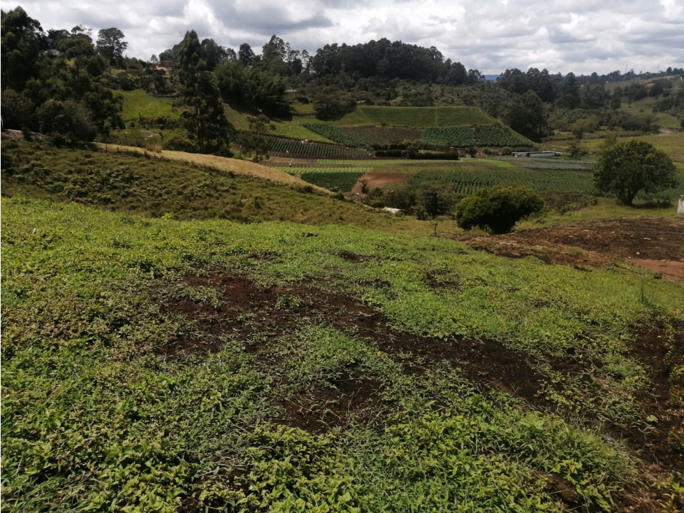 Lote en Venta Sector la Primavera, en Marinilla