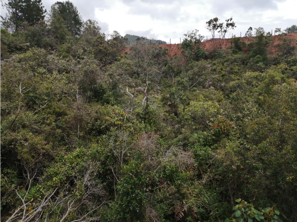 Lote en Venta San Vicente, Sector La Truchera — foto 6