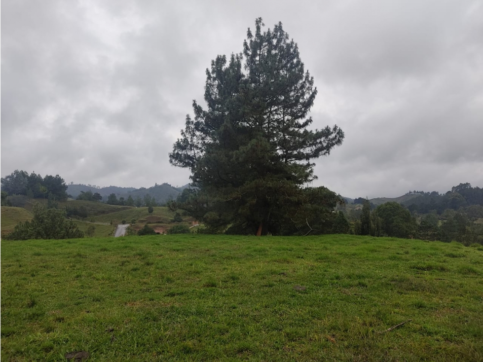 Lote en Venta en El Retiro en la Vereda Pantanillo — foto 4