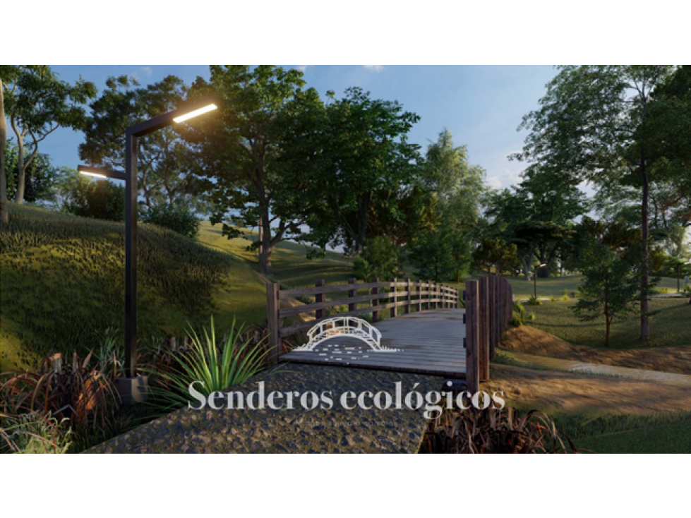 Lotes en Venta la Ceja Precios Desde $484,859,264 Hasta $588.522.600 — foto 3
