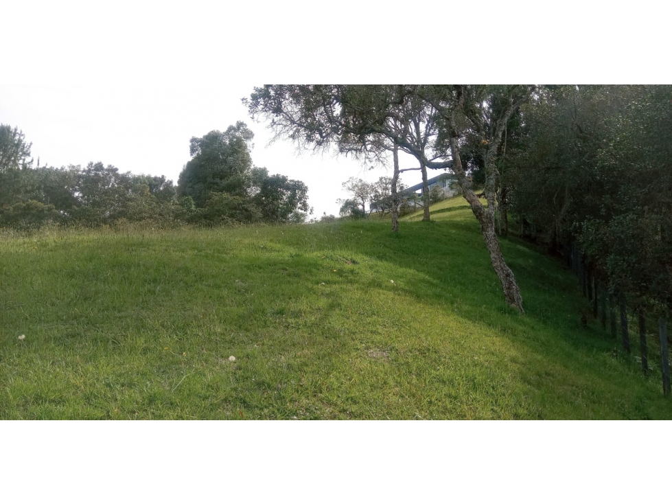 Lote en Venta Sector la Esperanza, Las Palmas — foto 2