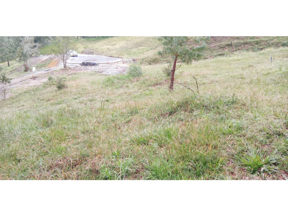 Lote en Venta Alto de las Palmas Sector el Silencio Envigado — foto 5