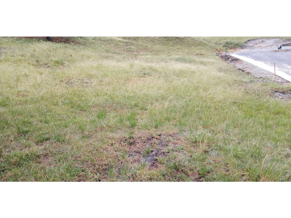 Lote en Venta Alto de las Palmas, Sector el Silencio Envigado — foto 2