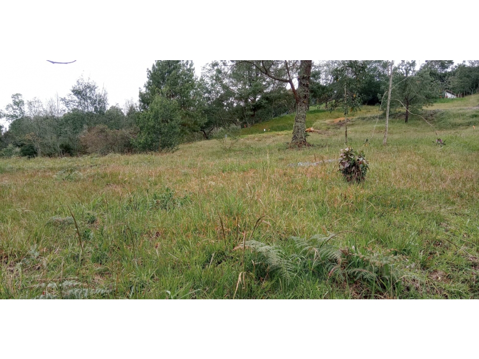 Lote en Venta Sector el Silencio Alto de las Palmas Envigado — foto 2