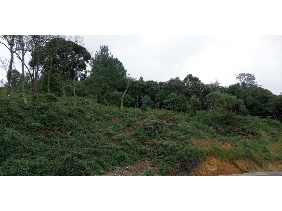 Lote en Venta Sector el Silencio en el Alto de las Palmas Envigado — foto 6