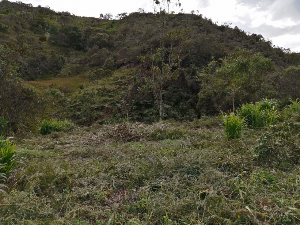 Lote en Venta en el Porvenir San Vicente — foto 4