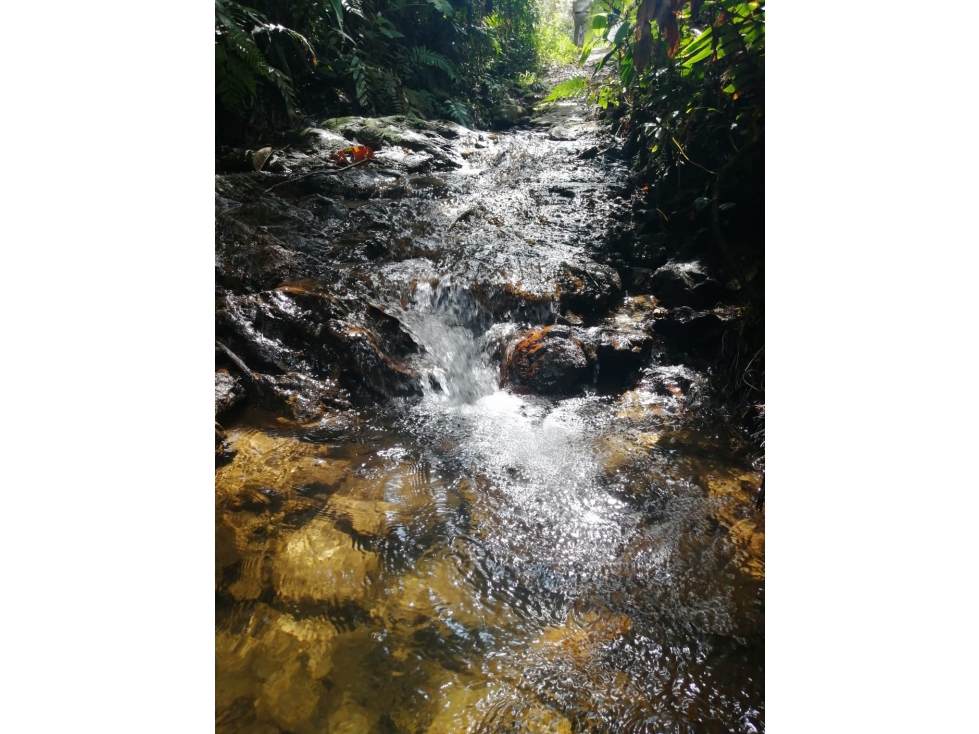 Lote en Venta de 20.000 m2 por $800.000.000 Sector Guapante en Guarne