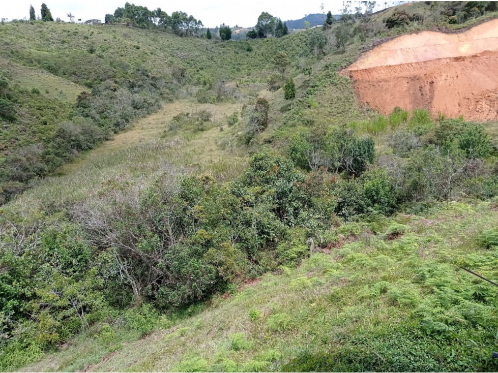 Lotes en Venta Variante Aeropuerto entre $448.000.000 - $585.000.000 — foto 6