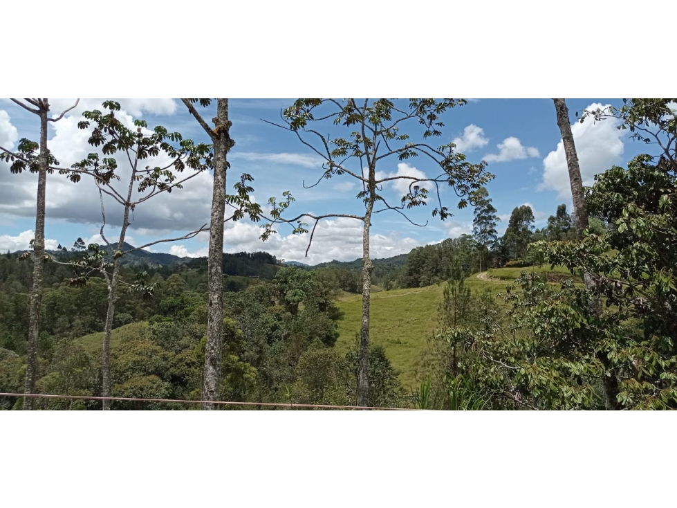 Lote en Venta Parcelación Nueva, Sector Pantanillo el Retiro — foto 5