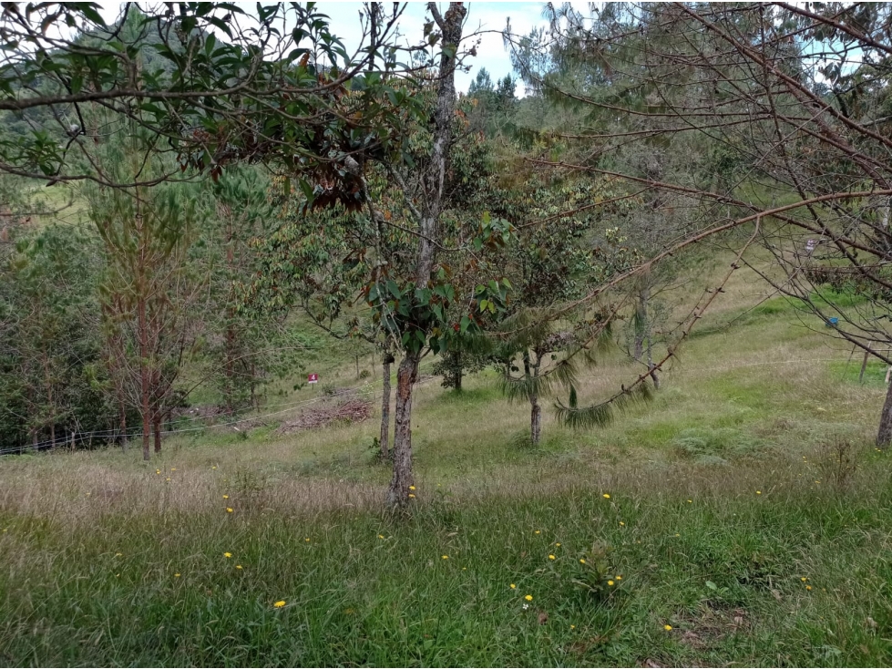 Venta Lote en Hermosa Parcelación en el Retiro,Sector Pantanillo — foto 6