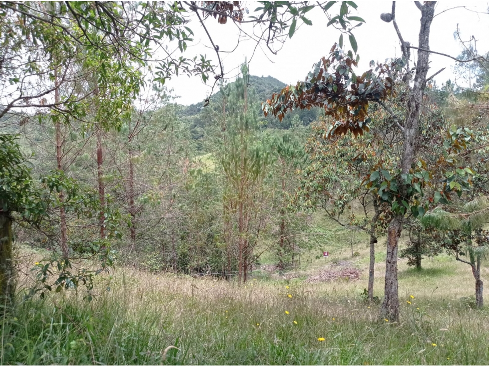 Lote en Venta Unidad Cerrada en el Retiro Sector Pantanillo — foto 6
