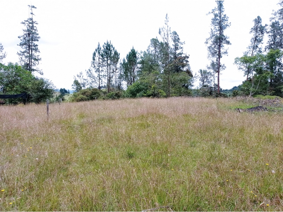 Venta Lote en Hermosa Parcelación en el Retiro, Sector Pantanillo