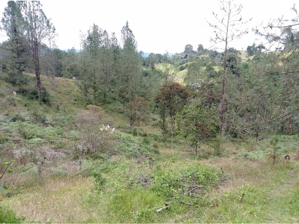 SE VENDE LOTE EN HERMOSA PARCELACIÓN EN EL RETIRO-SECTOR PANTANILLO — foto 5
