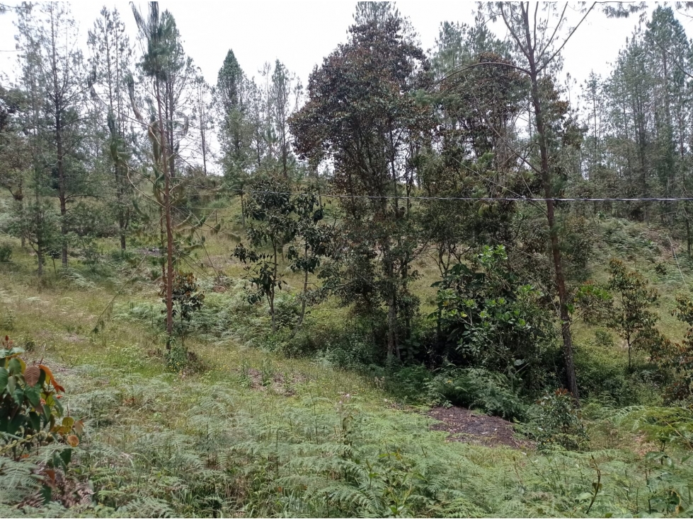 SE VENDE LOTE EN UNIDAD CERRADA EN EL RETIRO SECTOR PANTANILLO — foto 5