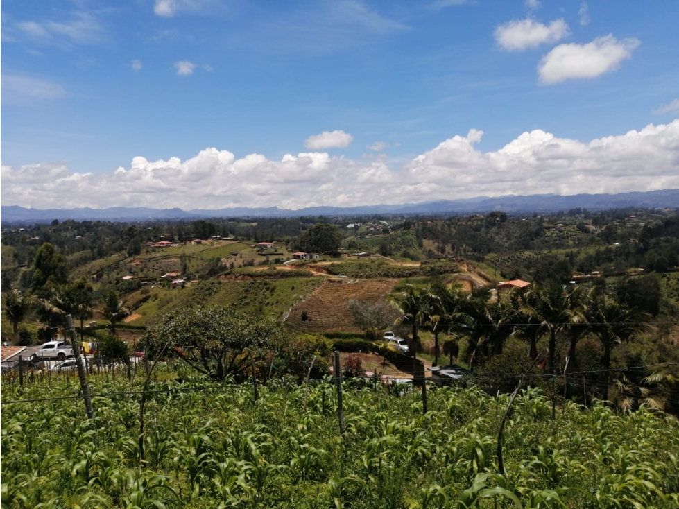Venta de lote sector Las hojas - San Vicente — foto 5