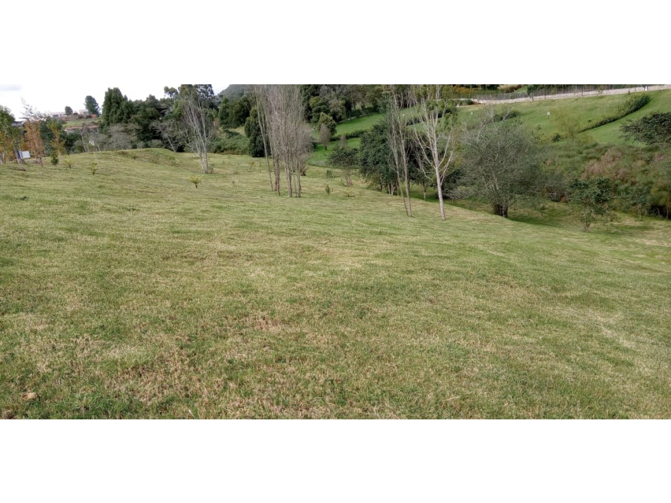 Lote en Venta La Acuarela, Alto de Palmas - Envigado — foto 5
