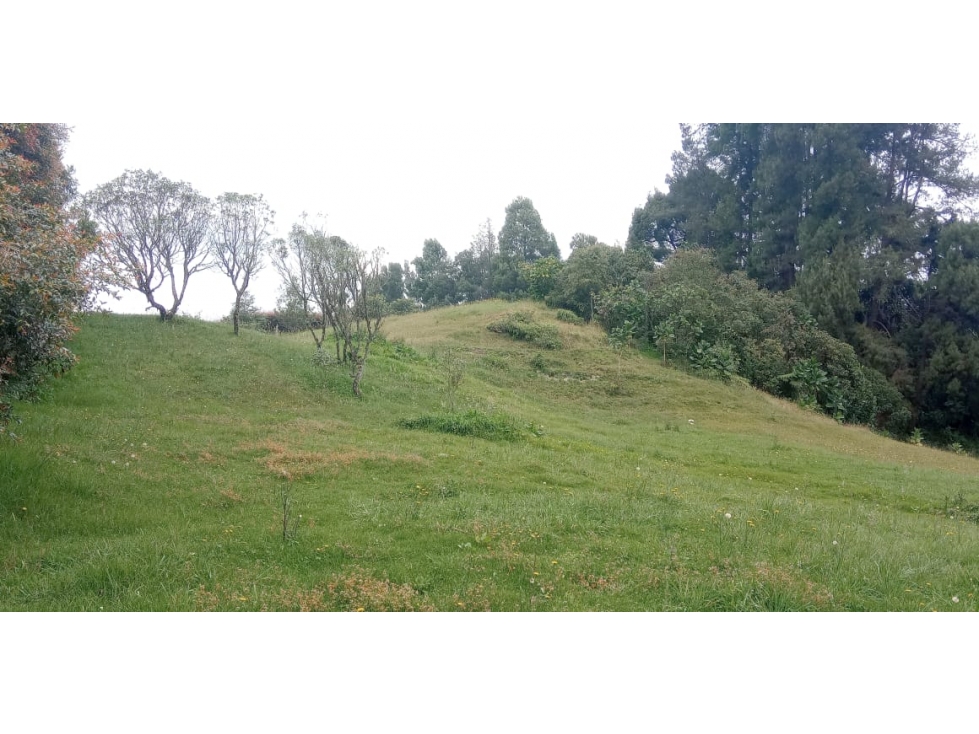 Lote en Venta Sector Indiana - Hacienda Arrayanes — foto 5