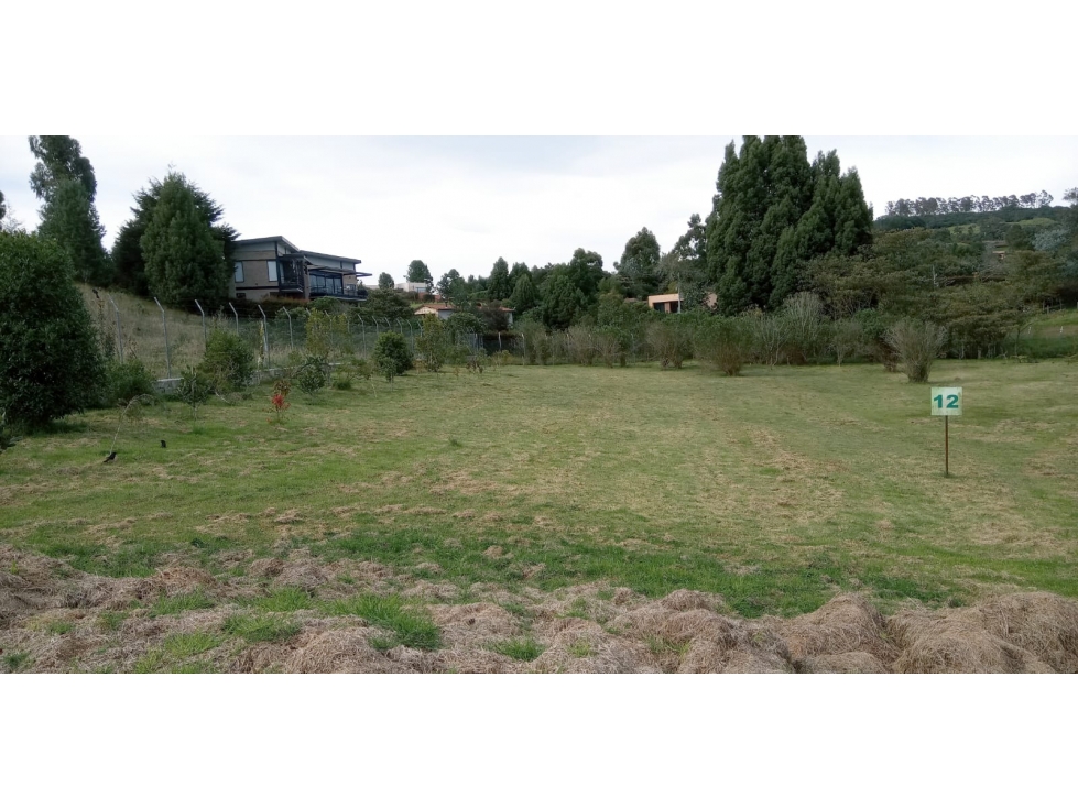 Lote en Venta Sector La Acuarela - Alto de Palmas en Envigado — foto 5