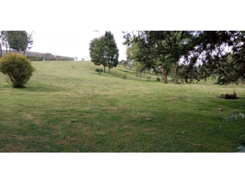 Lote en Venta Sector La Acuarela, Alto de Palmas - Envigado — foto 5