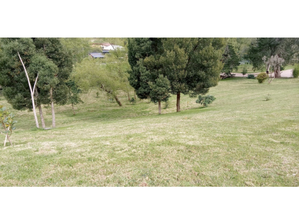Lote en Venta Sector La Acuarela, Alto de Palmas - Envigado — foto 5