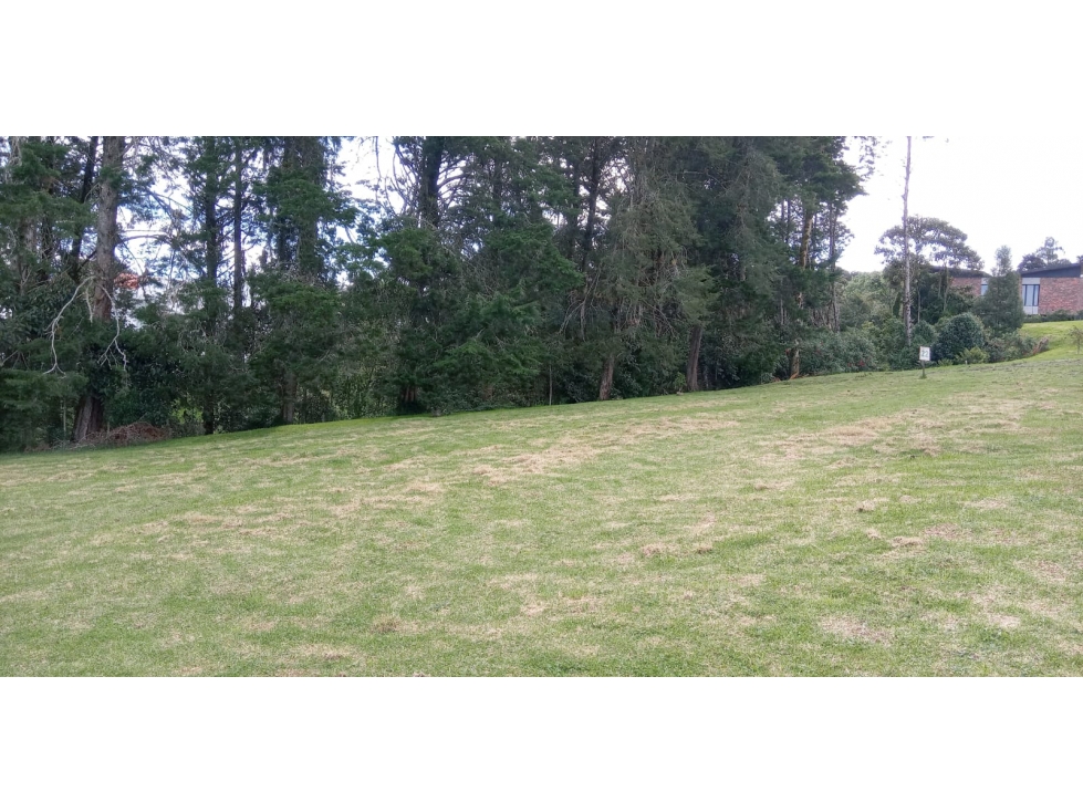 Lote en Venta Sector La Acuarela - Alto de Palmas en Envigado — foto 5