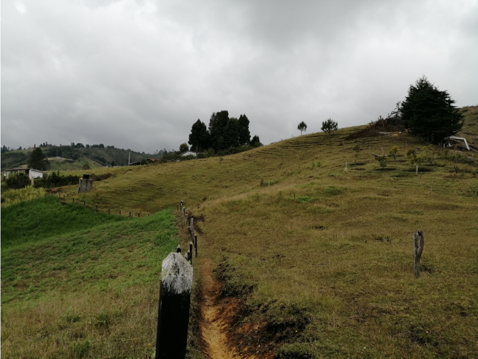 Lote en Venta Sector La Mejia - Guarne — foto 5