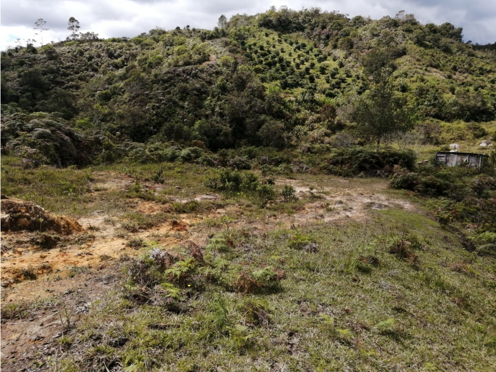 Lote en Venta Sector El Porvenir - San Vicente — foto 6