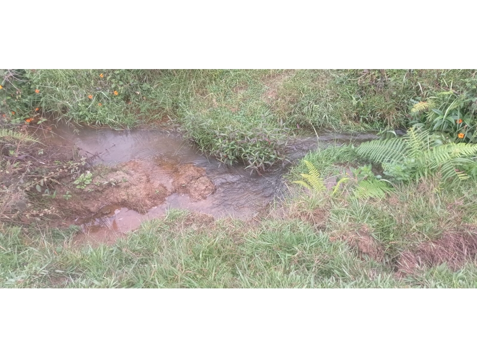 Hermoso Lote en Venta Sector Vereda el Morillo - Santuario — foto 6