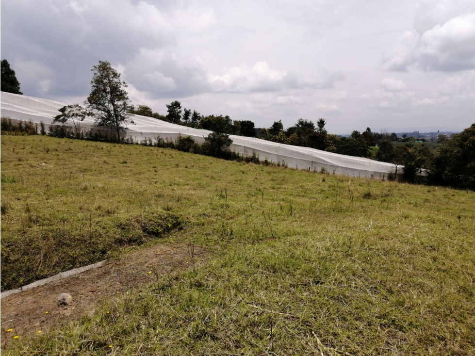 Lote en Venta Sector El Cerro Carmen de Viboral — foto 5