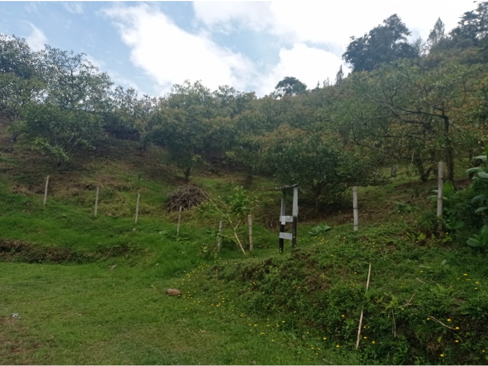 Lote en Venta Proyecto de Parcelación en El Retiro, Vía Pantanillo — foto 6