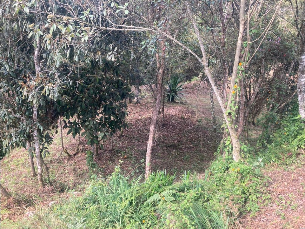 Lote Independiente en Venta Guarne, Vereda la Honda — foto 4