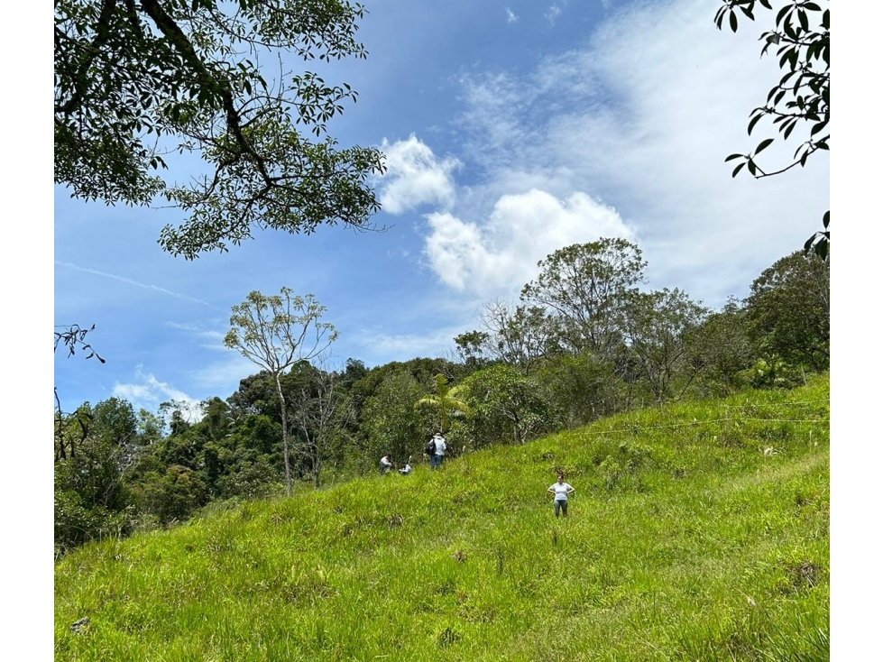 Lote en Venta en Eco Parcelación, en Porce Antioquia - 5