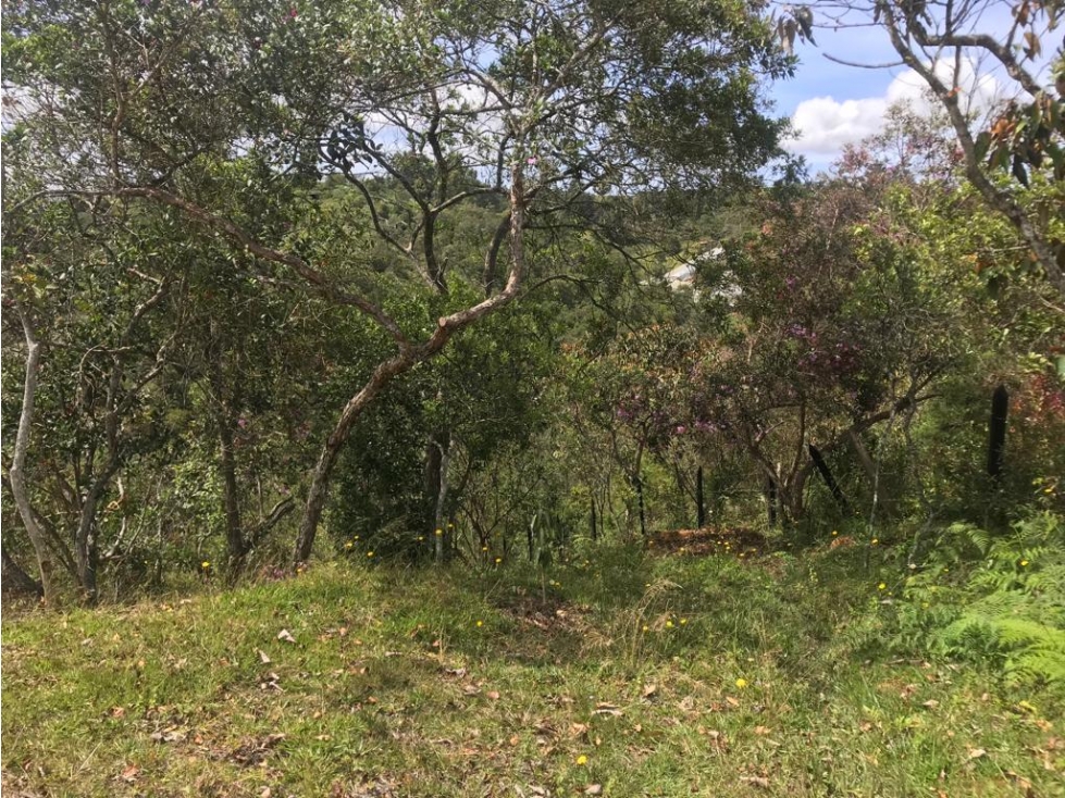 Lote en Venta con Vista al Valle de Chaparral, San Vicente — foto 5