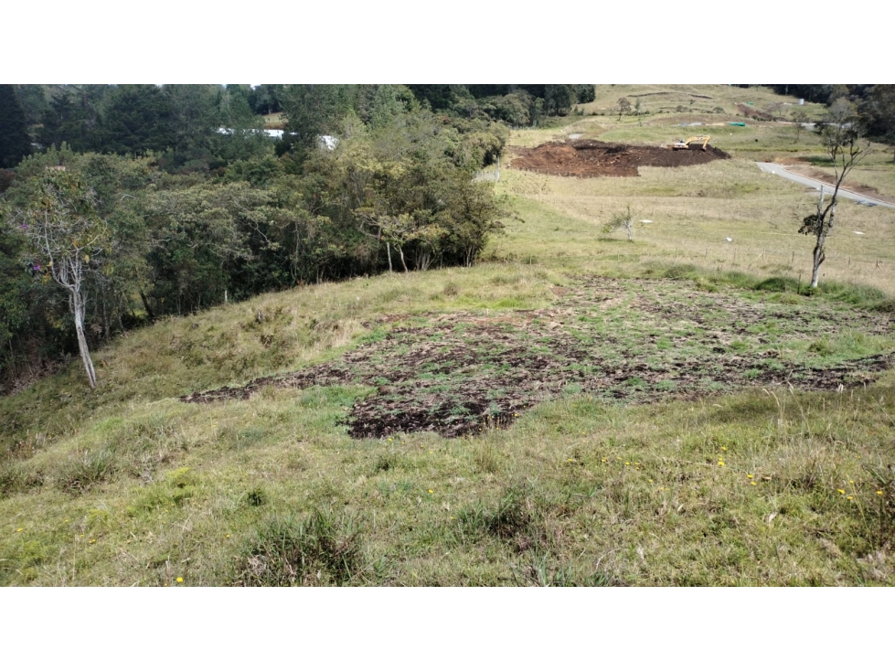 Lote en Exclusivo Sector en Alto de Palmas, Envigado — foto 5
