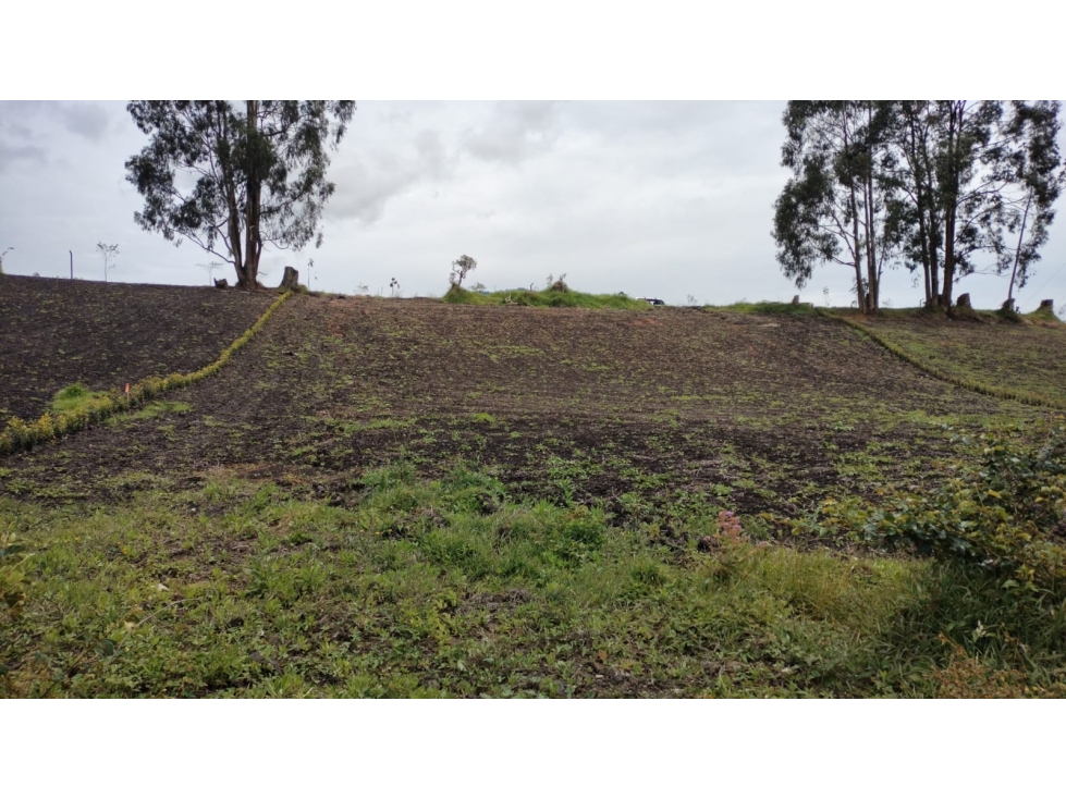 Lote Ubicado en Condominio en Venta, La Ceja Antioquia — foto 5