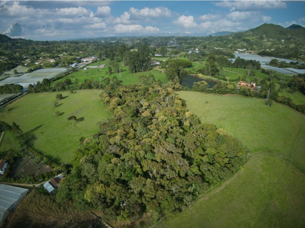 Lote con Hermosa Topografía en Venta Vía La Ceja San Antonio — foto 5