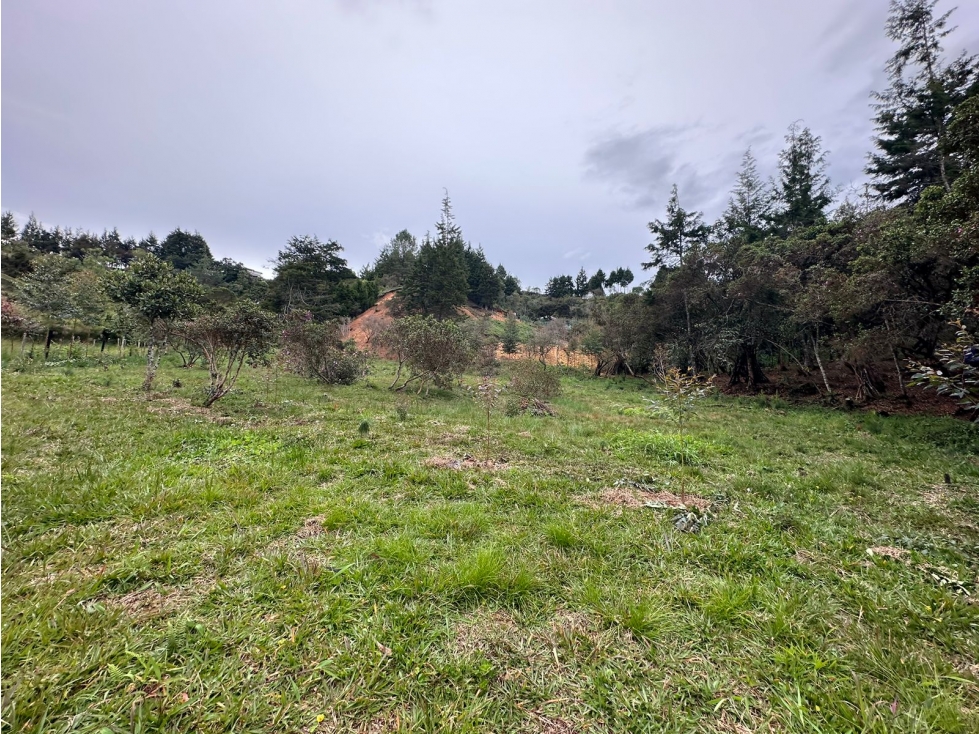 Lote Urbano Sector Vía Aeropuerto Hacia Autopista Medellín - Bogotá — foto 5