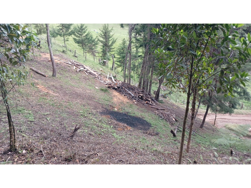 Lote Campestre en Puente Pelaez en el Retiro Antioquia — foto 5