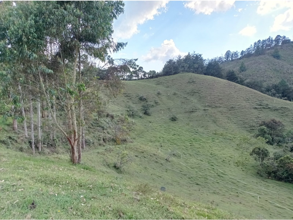 Lote en Venta en Proyecto Exclusivo, en el Retiro Sector el Chuscal — foto 5