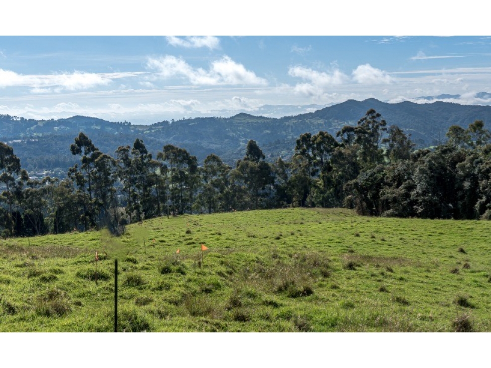 Lote en Venta en Envigado, Sector Alto de Palmas — foto 5