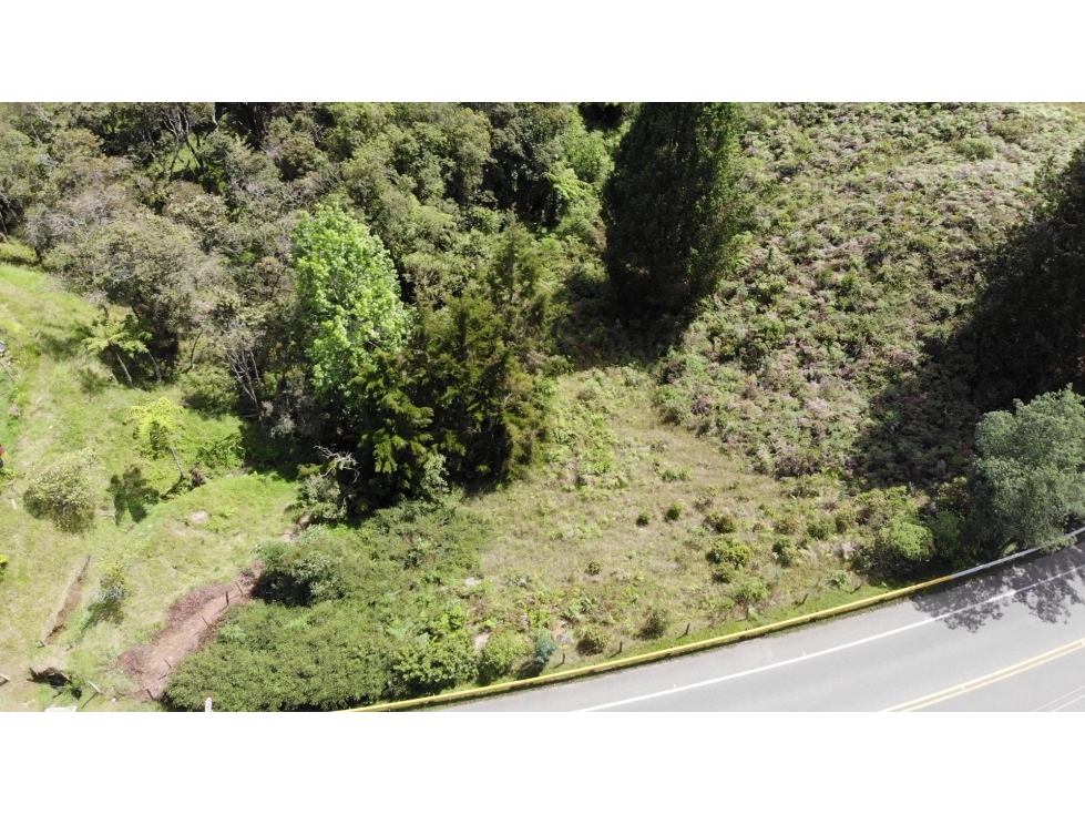 Lote en Venta, Sector Variante Palmas- Vía Aeropuerto, Envigado — foto 5