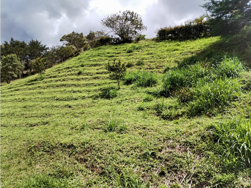 Lote Campestre en Venta, Vereda San Ignacio, San Vicente — foto 5
