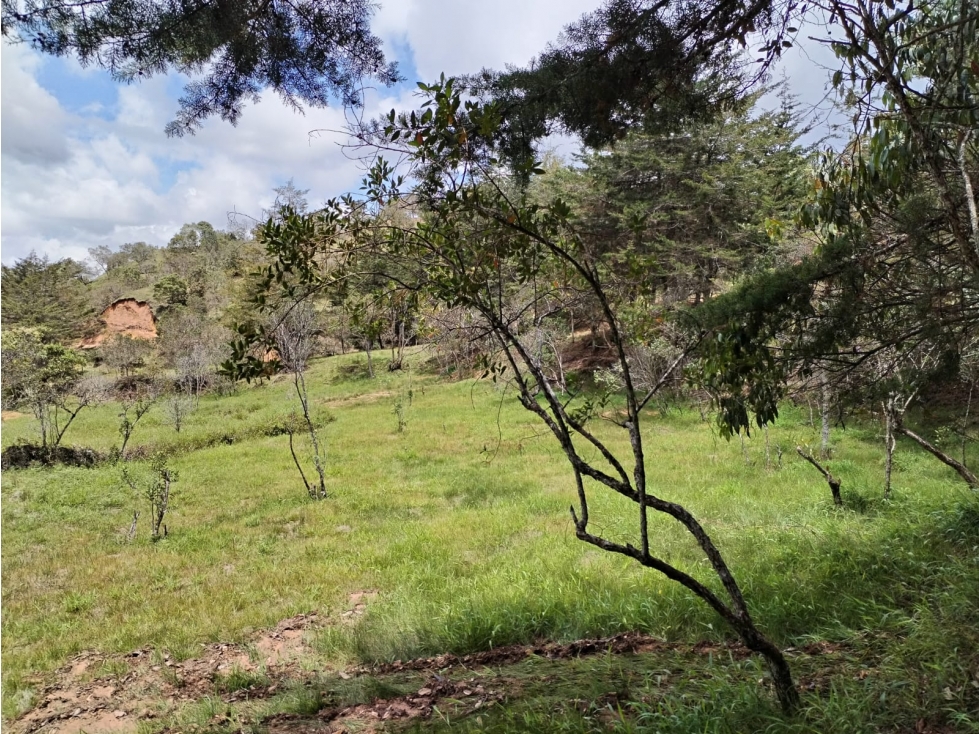 Lote en Venta en Parcelación Sector San Ignacio en San Vicente — foto 5