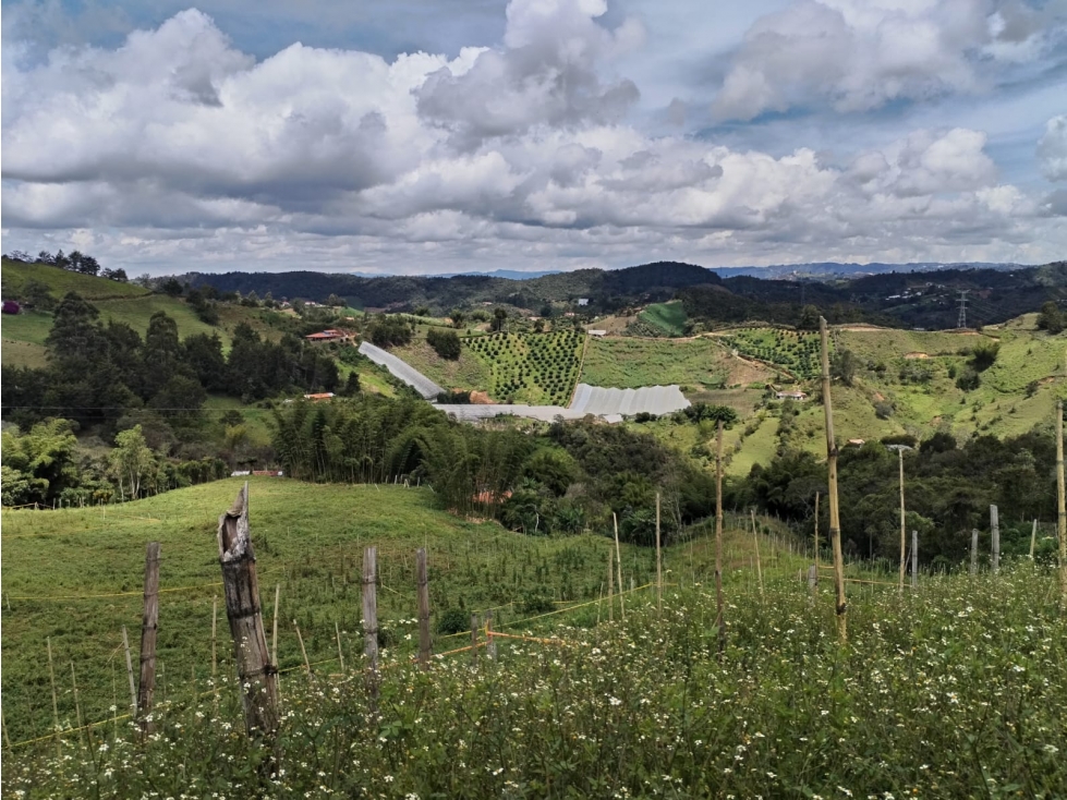 Lote en Venta, Sector la Floresta en San Vicente Ferrer — foto 5