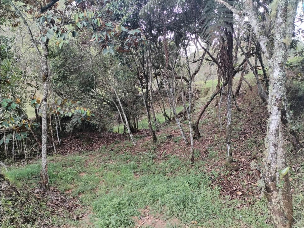 Lote en Parcelación Campestre, Vereda San Ignacio, San Vicente — foto 5