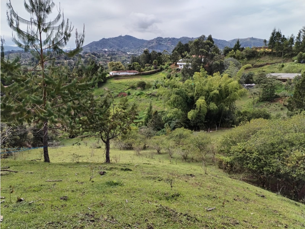 Lote Campestre en Venta, Sector Guamito, Guarne — foto 5
